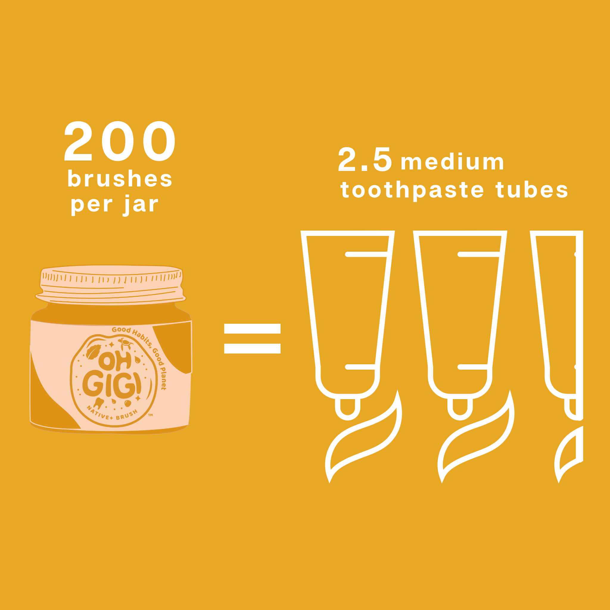 OHGIGI®️ - Wholesale Toothpaste - Organic Tooth Powder 'Native Brush' + Hydroxyapatite5