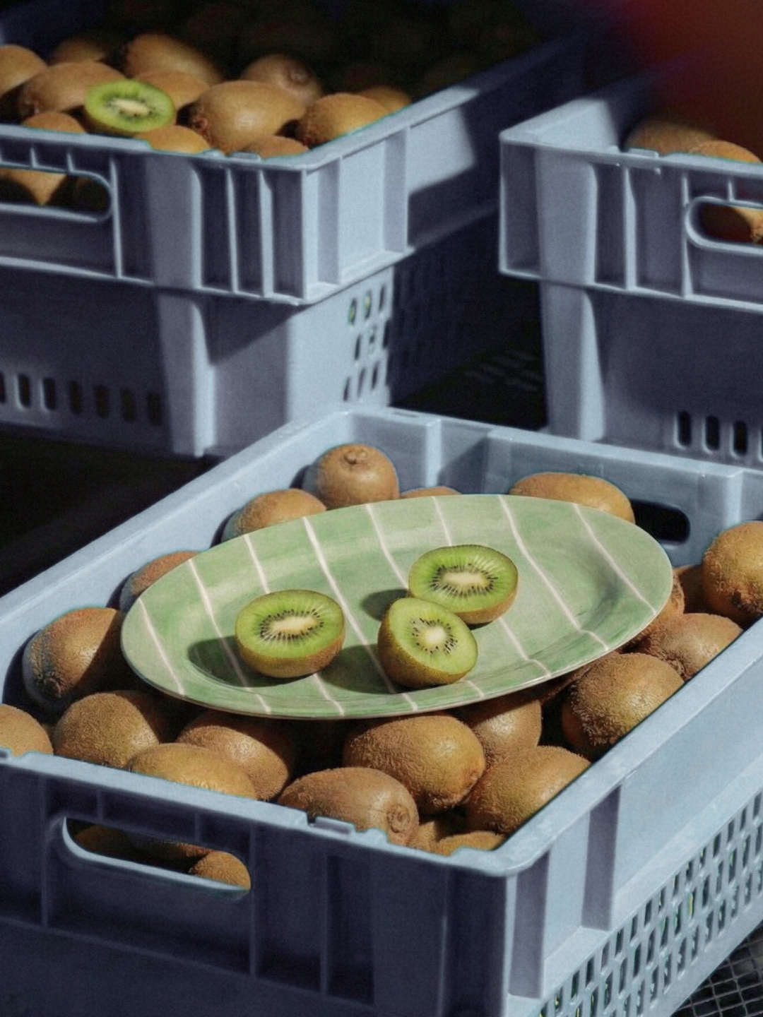 Valsa Home - Wholesale Platter - Kiwi Platter2