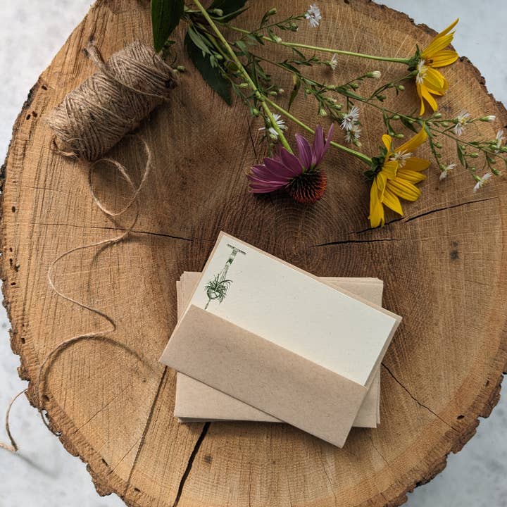 Macrame Planter Letterpress Note Cards (Set of 10) for wholesale by Tussie Mussie Press