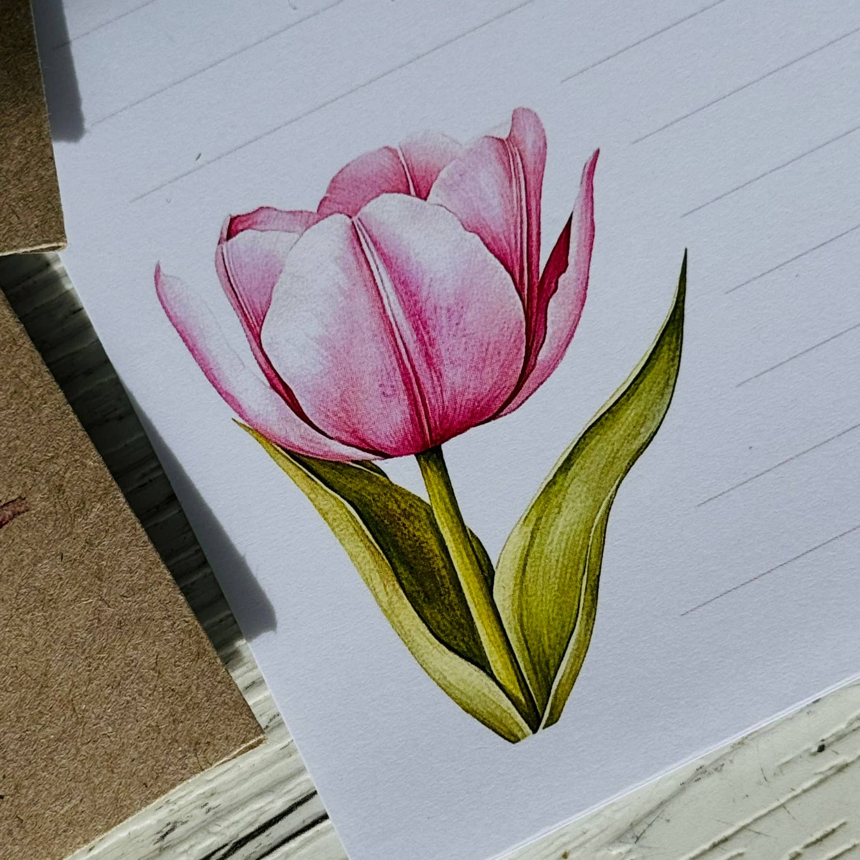 Scattered Seed Co - Vente Assortiments de papeterie/cartes - Ensemble de papier à lettres FLEURS ROSES5