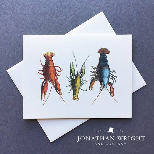 Lawbstas - Confezione da 8 pezzi per la vendita all'ingrosso da parte di Jonathan Wright and Company