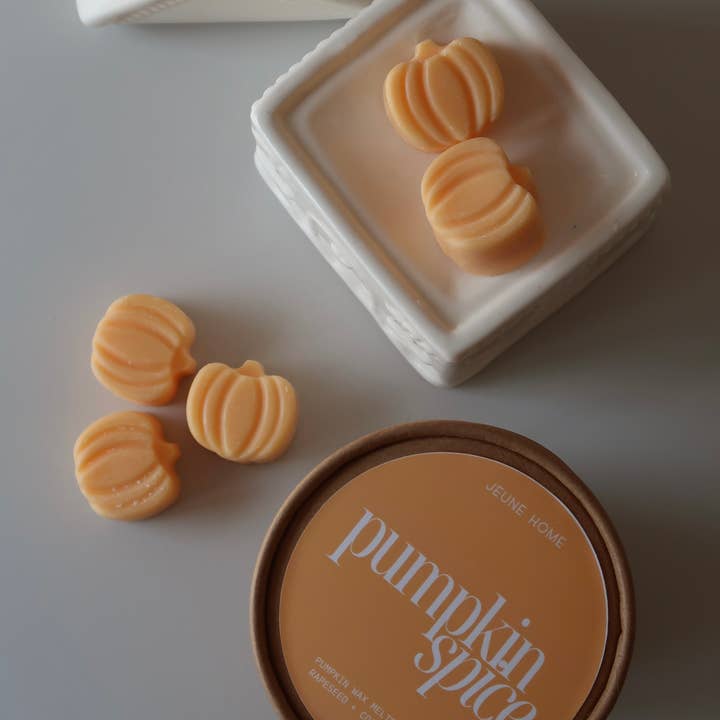 Jeune Home - Wholesale Wax melt - Pumpkin shaped wax melts | spice pumpkin wax melts3