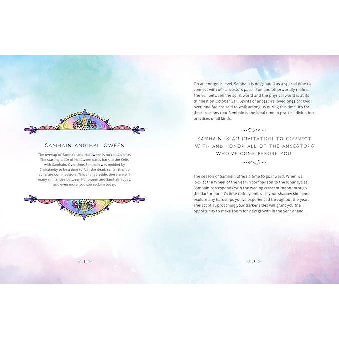 Texas Bookman - Wholesale Religion - Zenned Out Guide To Understanding The Wheel Of The Year2