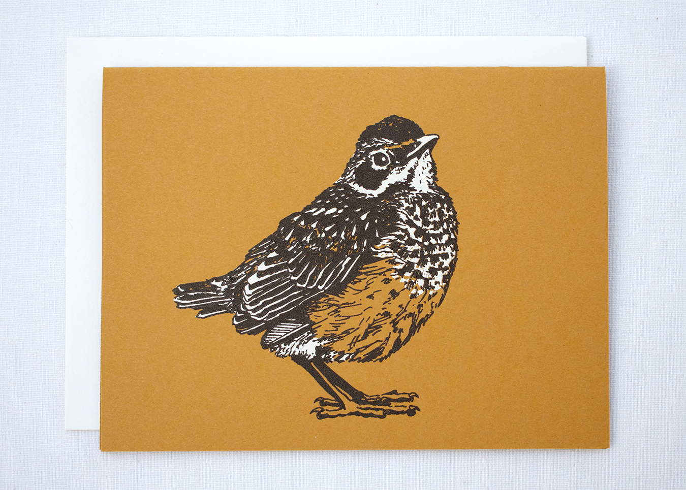 Farm and Finch Creative - Wholesale Everyday Greeting Card - Robin Fledgeling Card1