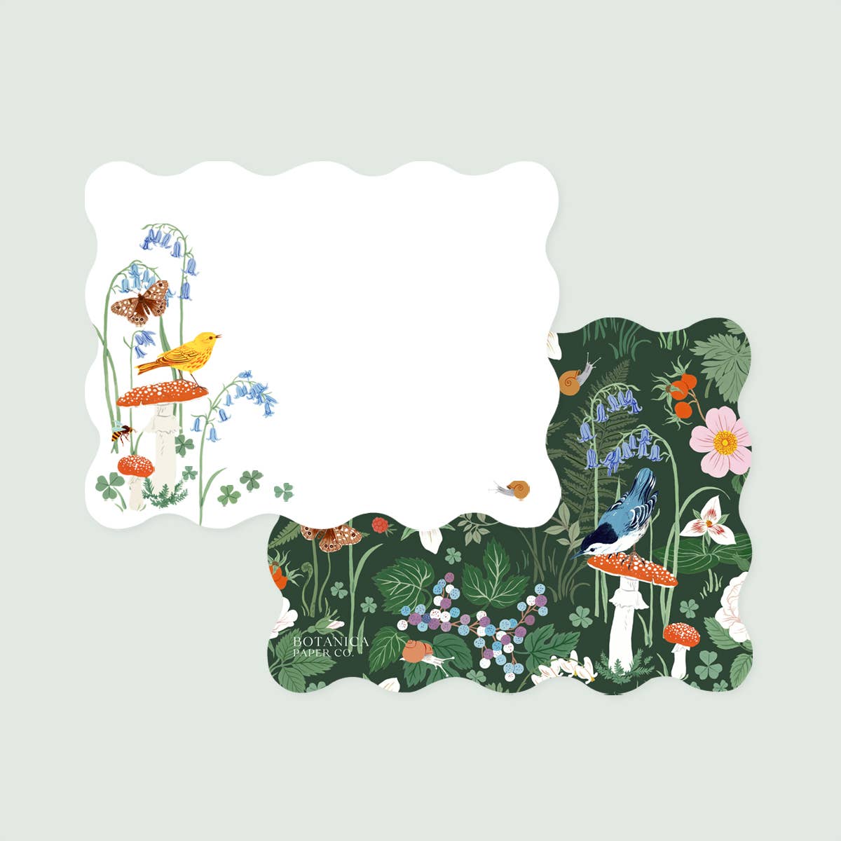 Botanica Paper Co. - Wholesale Stationery/Notecard Set - WOODLAND Notecards | Set of 41