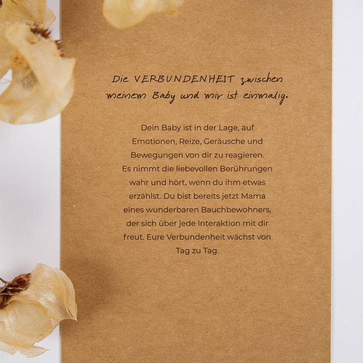 Oh Shanti - Wholesale Stationery/Notecard Set - Sol & Pepper pregnancy affirmation cards6