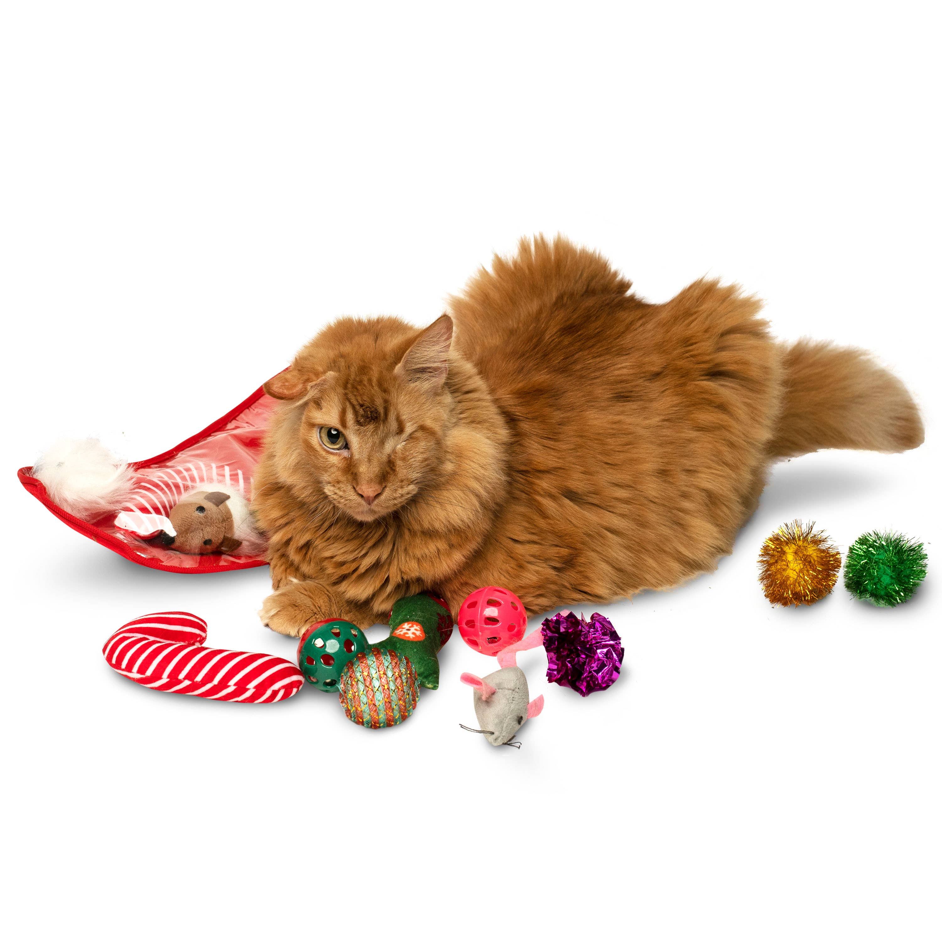 Midlee Designs – Engroshandel Legetøjssæt - Kat – Midlee Christmas Strømpe Cat Toy Gavesæt (14 Legetøj)6