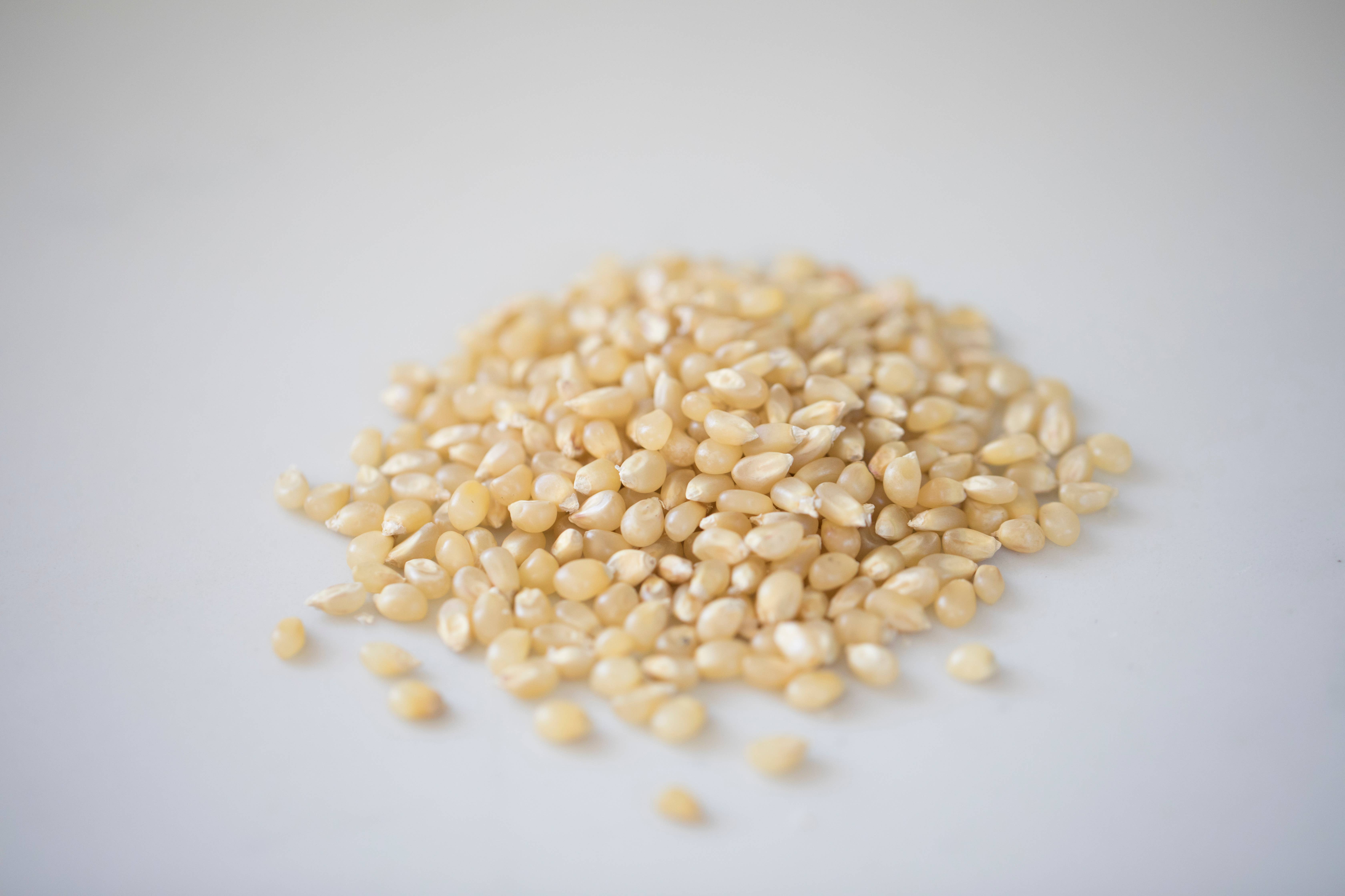 Amish Country Popcorn - Wholesale Popcorn - 4oz Bag of Baby White Hulless Popcorn2