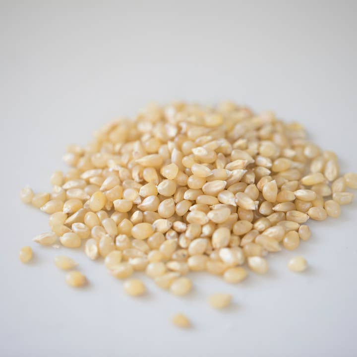 Amish Country Popcorn - Wholesale Popcorn - 4oz Bag of Baby White Hulless Popcorn2