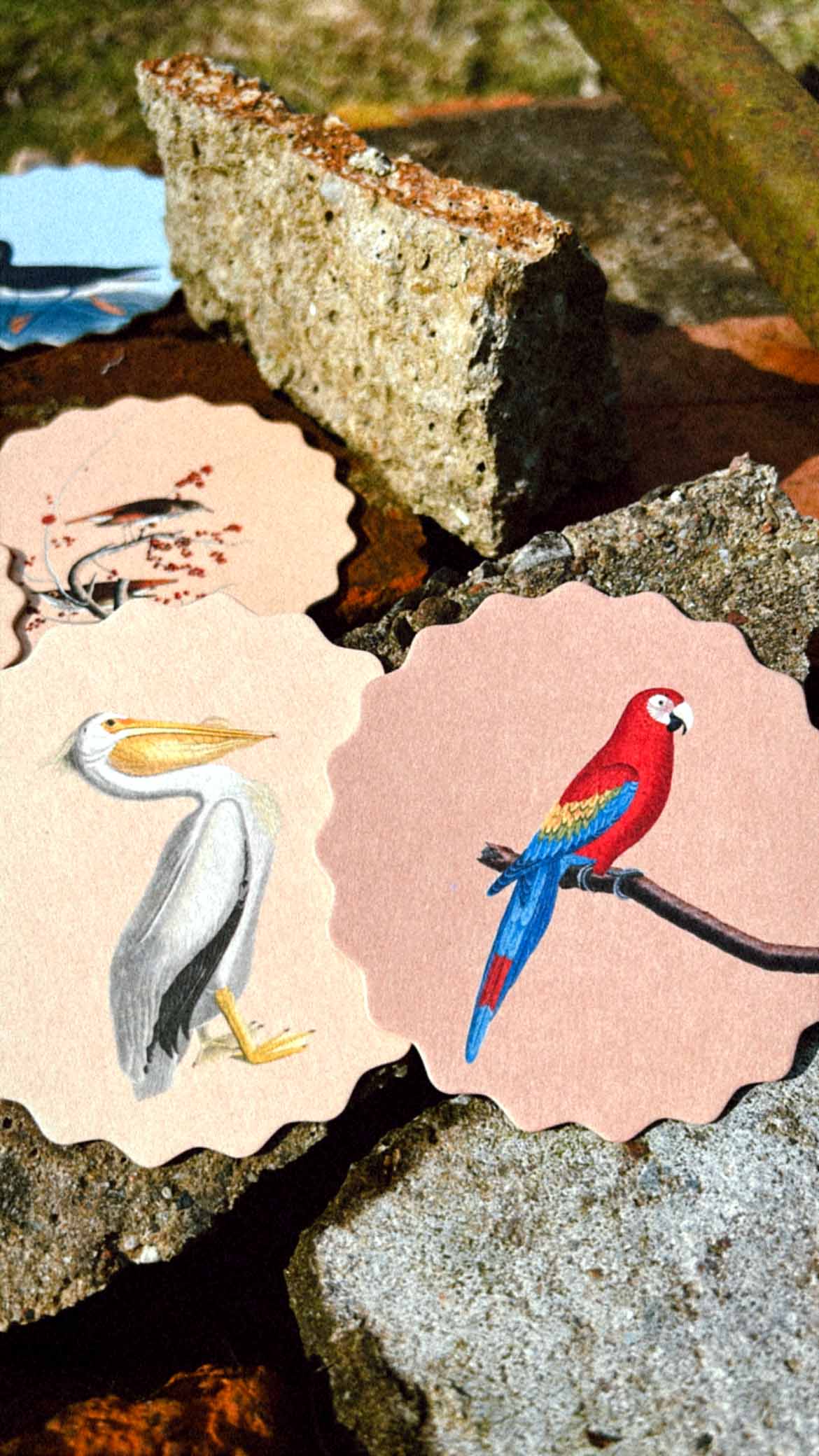 30x40 - Wholesale Onderzetters - Set van 10 onderzetters met vogelmotieven 🦉🦜🐦10