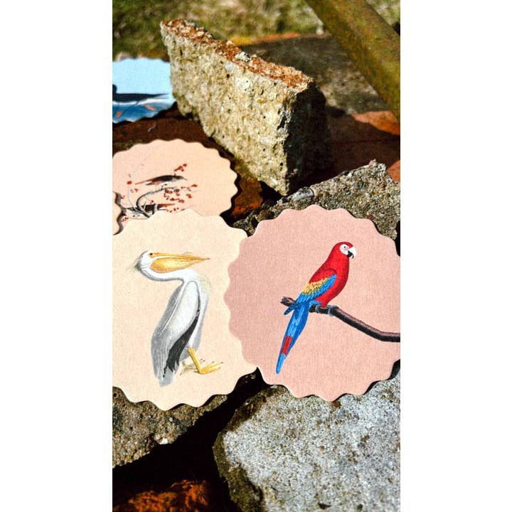 30x40 - Wholesale Onderzetters - Set van 10 onderzetters met vogelmotieven 🦉🦜🐦10