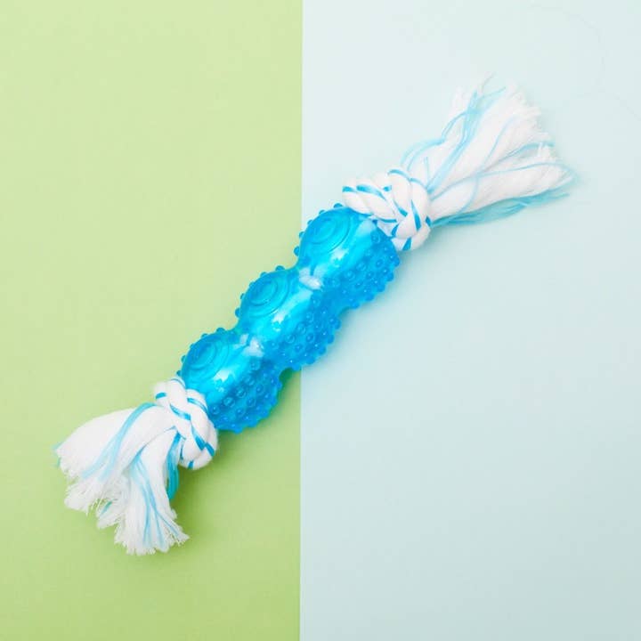 Display Box set of 6 Mint Dental Barbel Dog Toys for wholesale by PetLondon