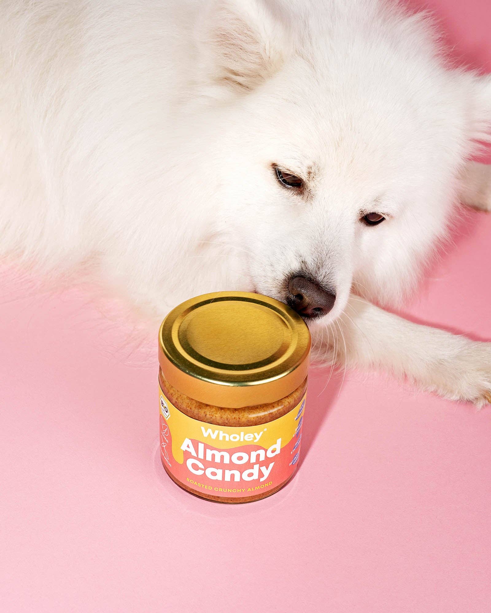 Wholey Organics - Wholesale Nut Butter - nut butter bundle6