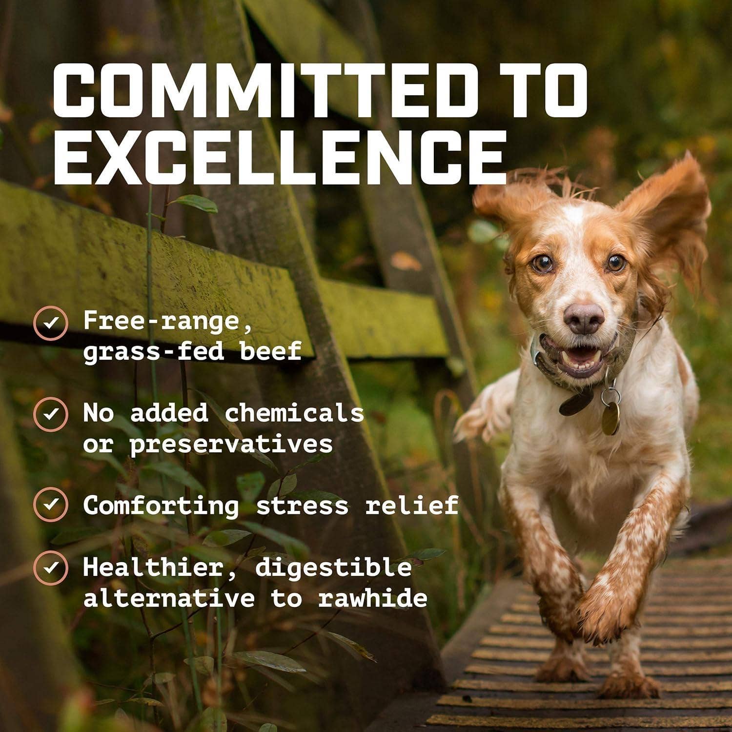 Wild Wolf Bully Sticks - Wholesale Pet Treats - Dog - USA Chicken Feet - 100% Natural Dog Chew Treats - Lab-Tested2