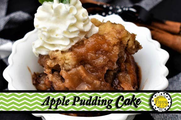 Lemon Poppy Inc. - Wholesale Cookbooks & Food - DISPLAY copy of When Life Gives You a Slow Cooker - ONE only4