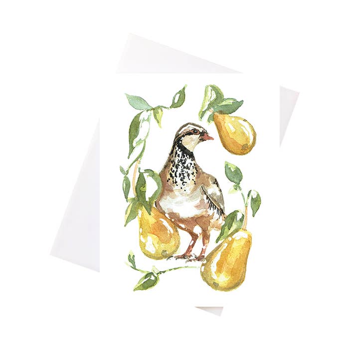 Perdrix pour la vente par NKFA