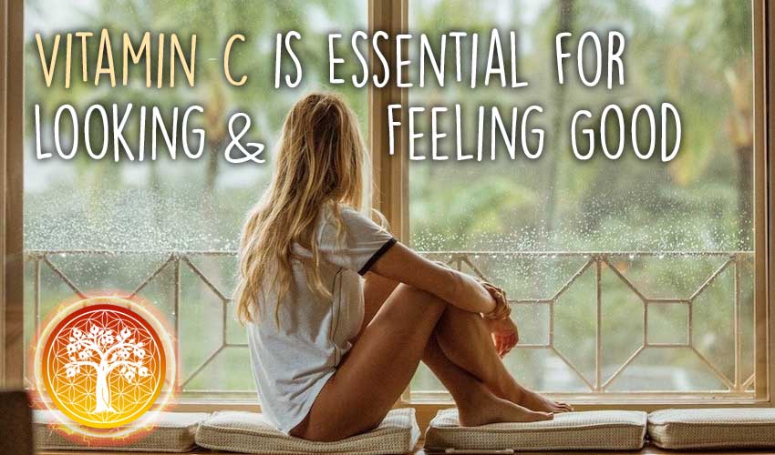 Ancient Purity - Wholesale Voedingssupplement/vitamine - Vitamine C Poeder - 300 g | Pure Ascorbinezuur | GMO-vrij1