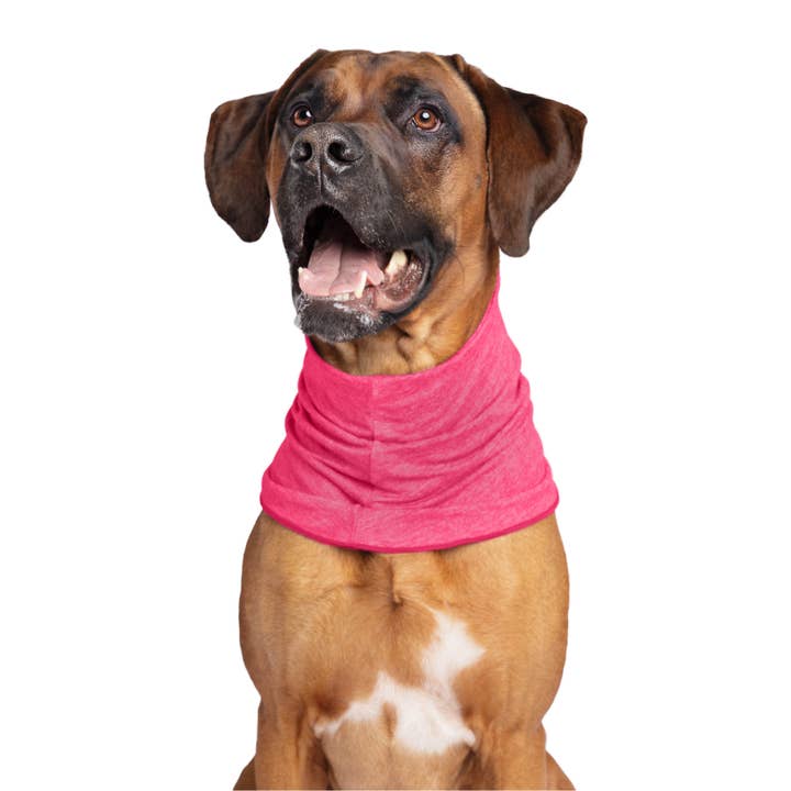 Cuello térmico reversible Sun Snood para perros para venta al por mayor de Gold Paw Series