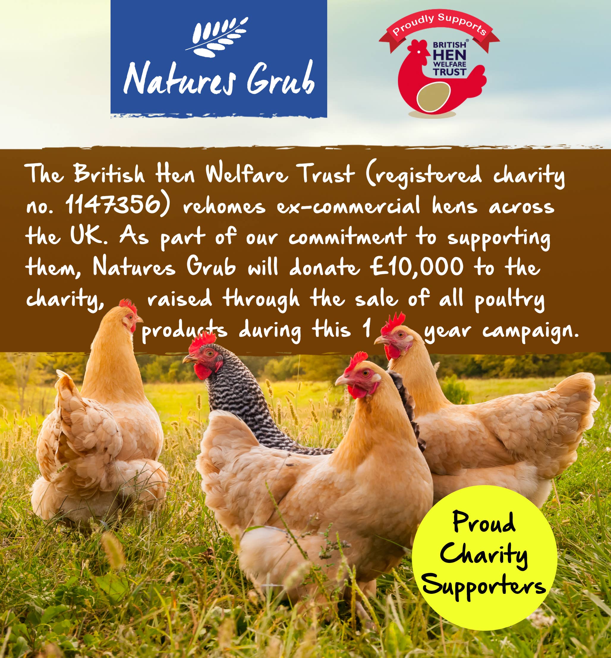 Natures Grub – wholesale Pet food – Not cat/dog – Natures Grub Afternoon Oats for Chickens - Banana & Berry5