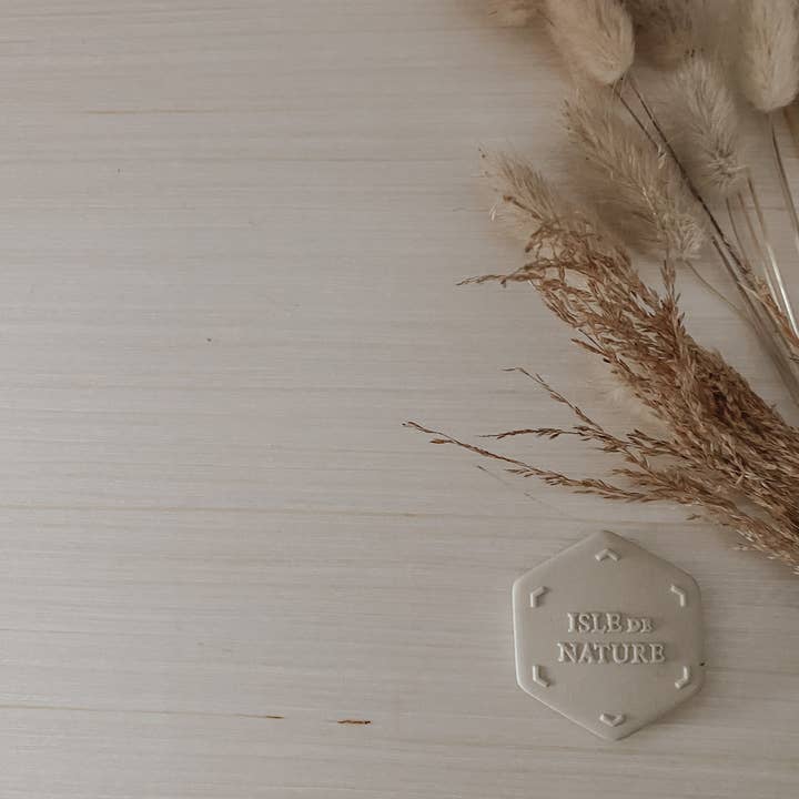 Isle de Nature - Wholesale Fragrance Booster - The Scent Coin9