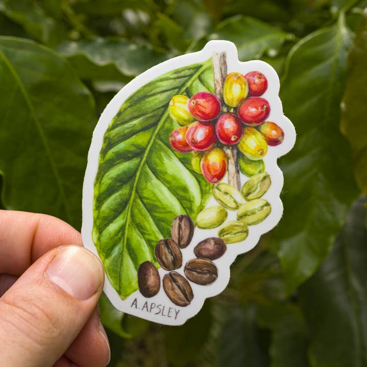 Kaffeklistermärke för wholesale av Aaron Apsley Artwork