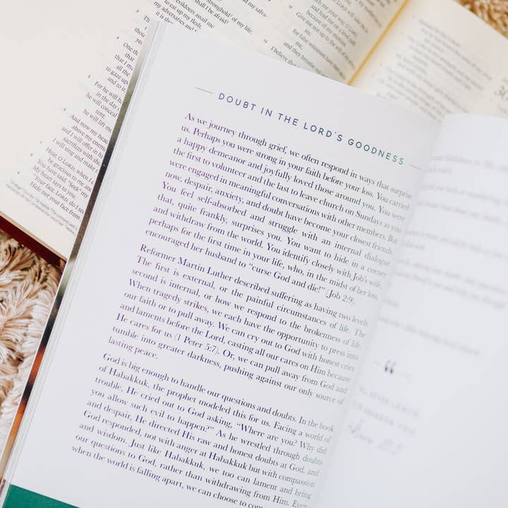 The Daily Grace Co - Wholesale Religion - Gospel Hope in Grief and Loss5