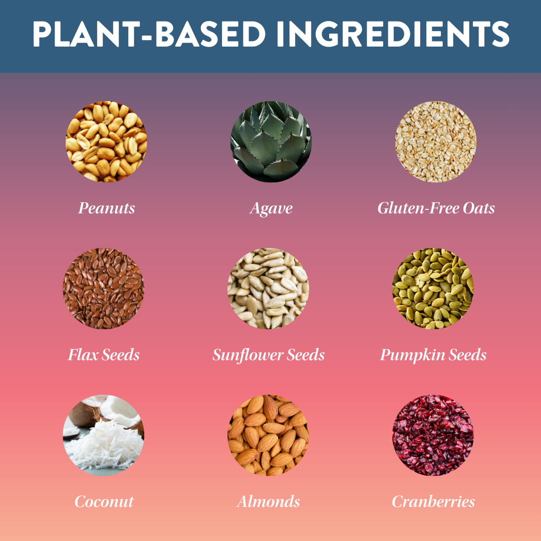 Protein Puck - Wholesale Snack Bar - Wanderlust Mini (Peanut Butter, Cranberry) (12- 1.34oz Bars)3