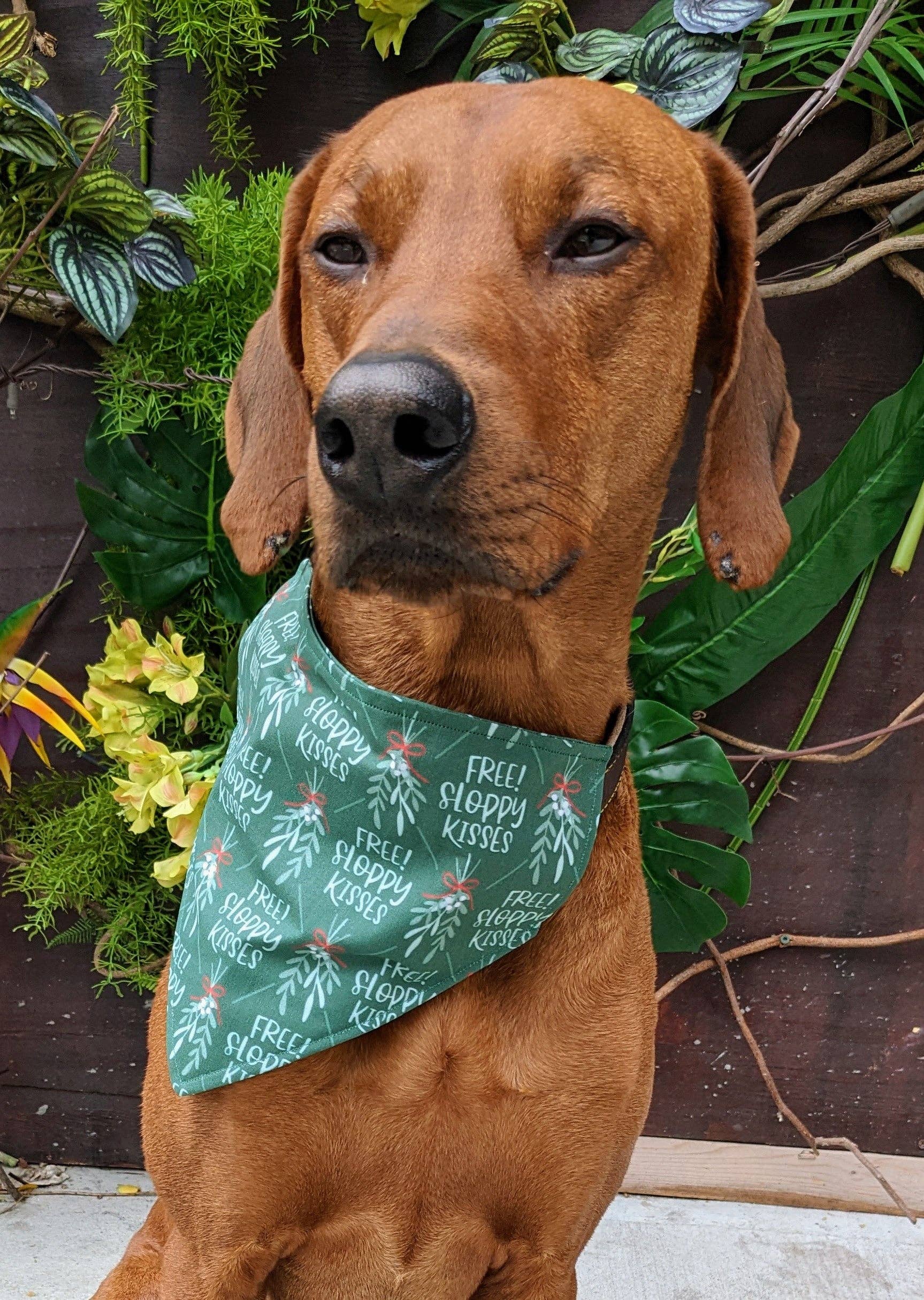 Koa's Ruff Life - Wholesale Pet Bandana - Dog - Mistletoe Dog Kisses Bandana0