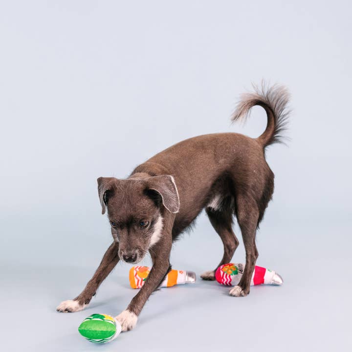 Petshop by Fringe Studio - Wholesale Pet Toy Set - Dog - FROM COOLER 3 PIECE SMALL DOG TOY SET2