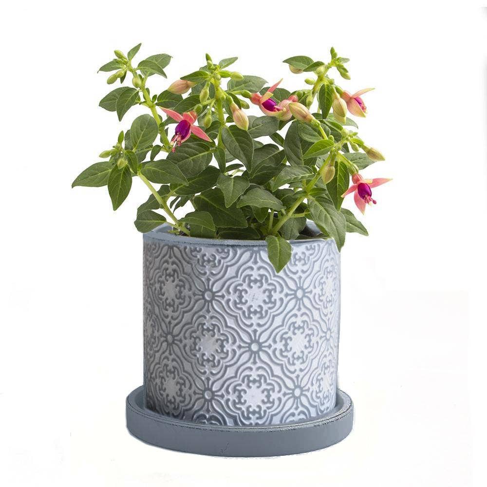 Chive UK - Wholesale Plant Pot - Balter Pot with Saucer for Houseplants, Cacti, Succulents19