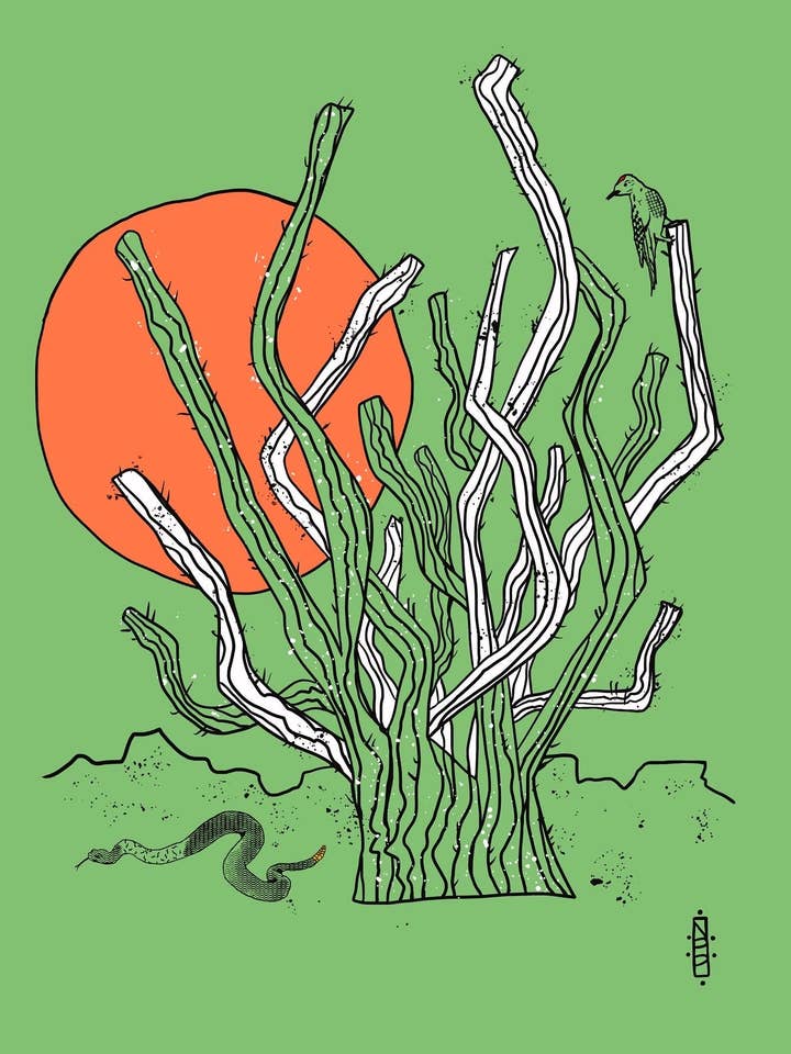 Soleil du désert pour la vente par Pop Americana