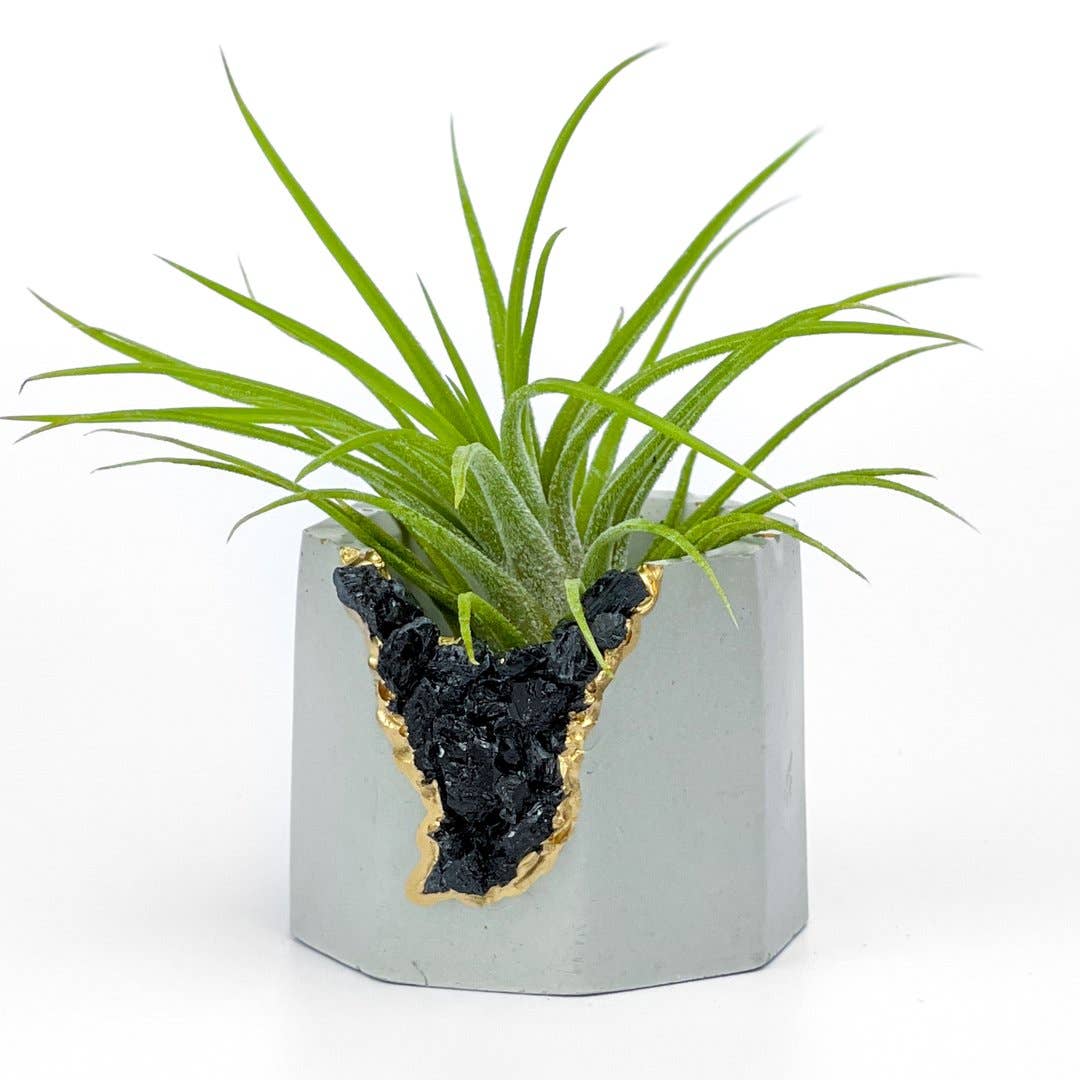 Planters Made in the USA - Venta al por mayor Macetas - Maceta de geoda de turmalina negra cruda, soporte para plantas de aire2