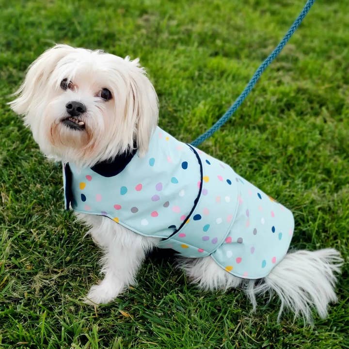 Queenie's Pawprints - Wholesale Pet raincoat – Dog - Weatherproof Rover Raincoat - Skittles2