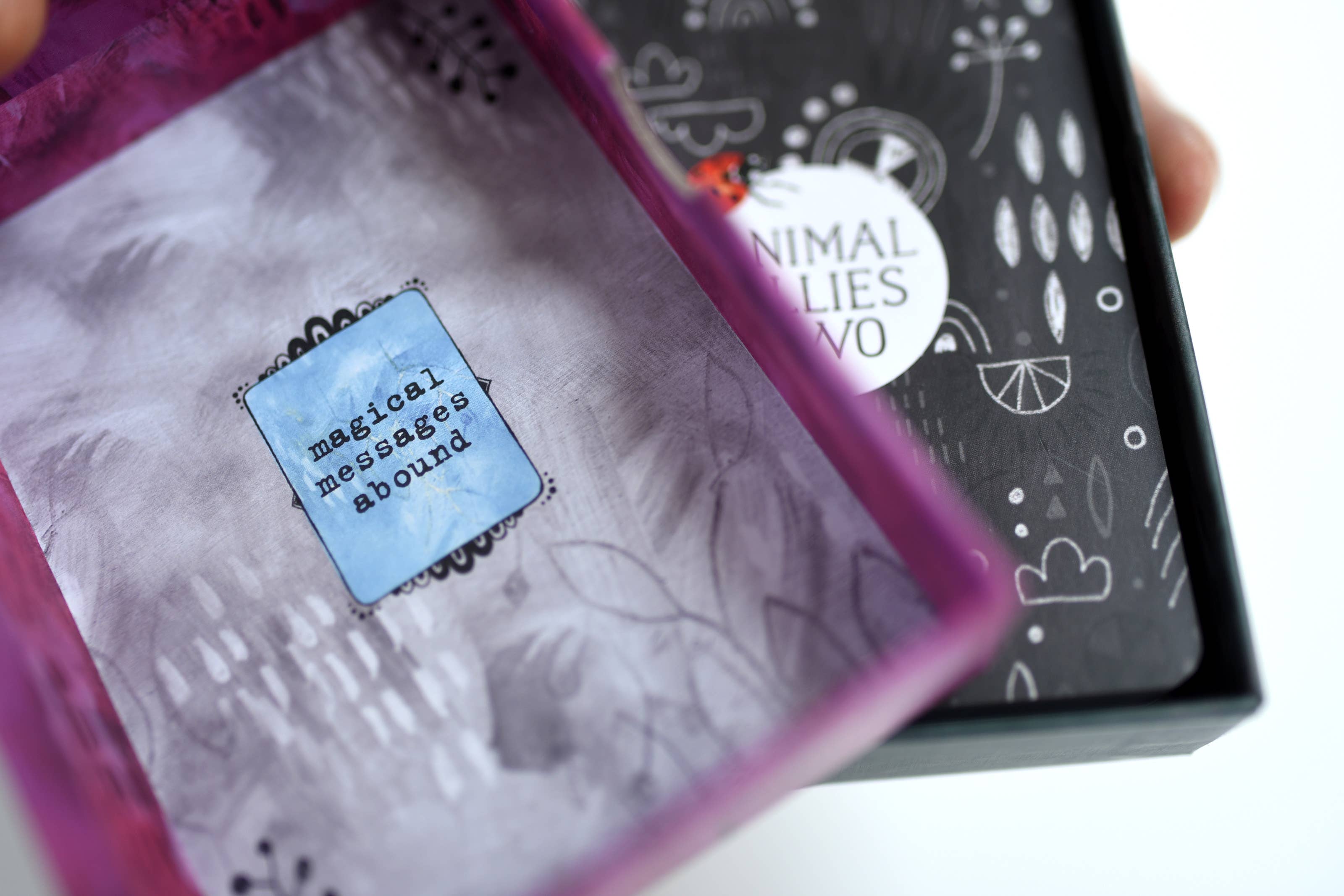 Jessica Swift - Wholesale Tarot/Oracle Card - Animal Allies Two Oracle Cards3