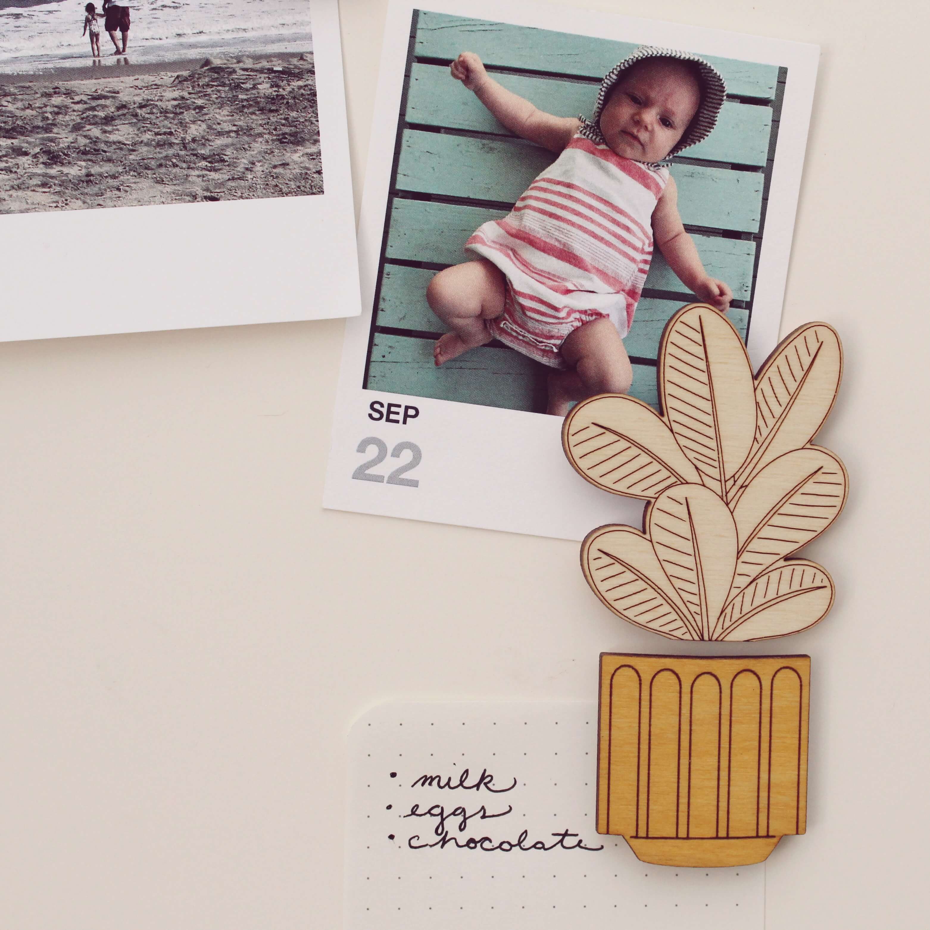 oh, little wren - Wholesale Magnet - Wood House Plant Magnets | Rubber Plant | Plant Lover Gift2
