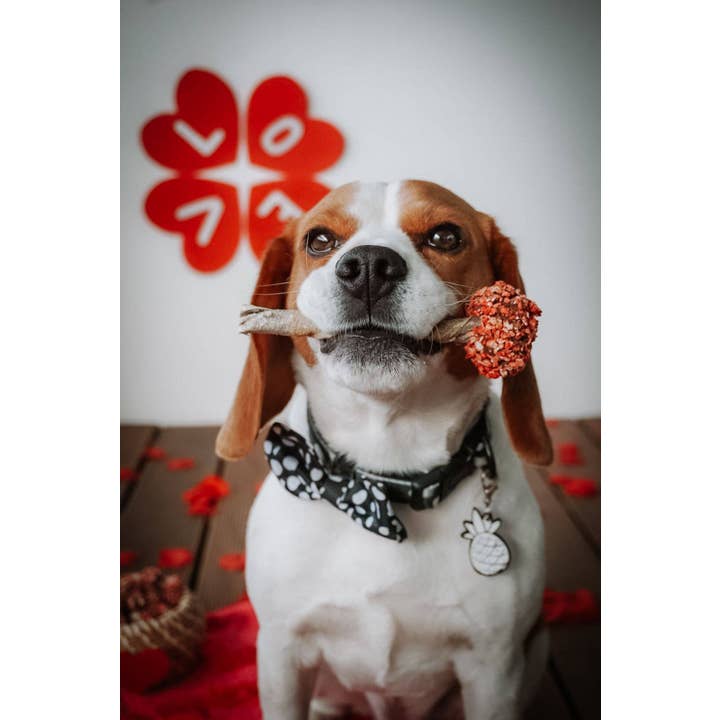 Belpharmed bv: Cooka's Cookies & Sensidog - Wholesale Pet Treats - Dog - Lollipop - Valentine's Day Edition2