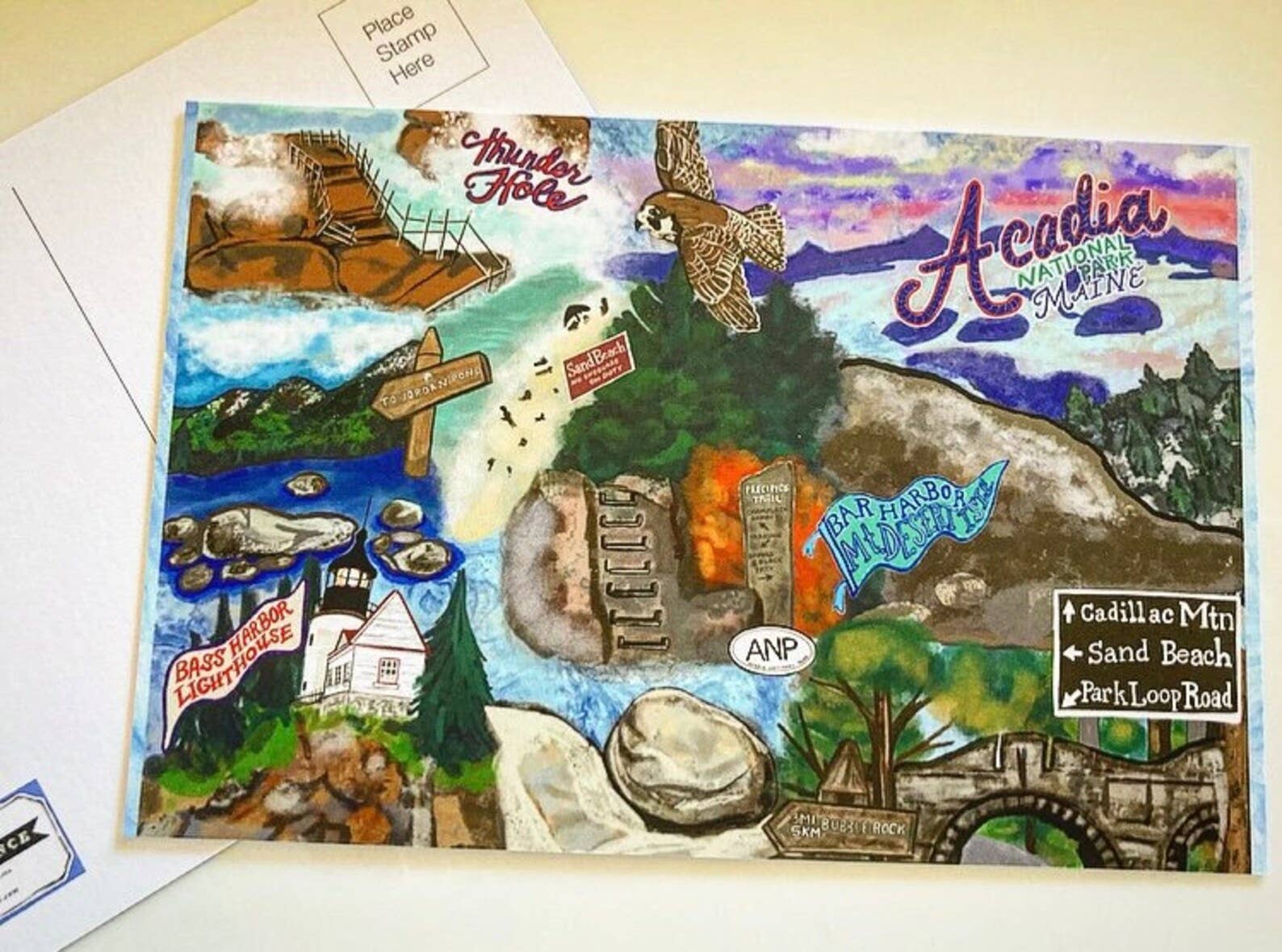 Domesticadence - Wholesale Postcard - Hand-Drawn Acadia National Park Postcards0