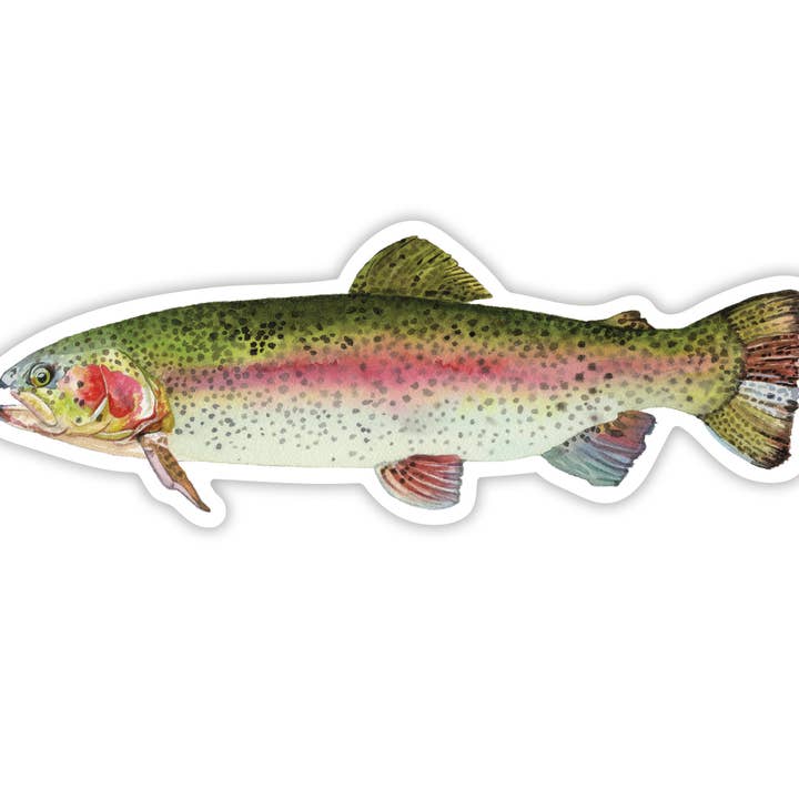 Regnbueørred Klistermærke II for engroshandel hos Broken Paddle Studio