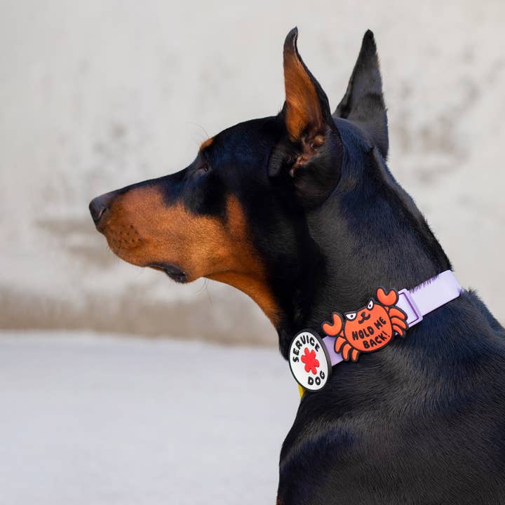 Jiby Dog Crew – Großhandel Halsband-Anhänger – Katze/Hund – Krabbeliger Jiby-Hundeanhänger3