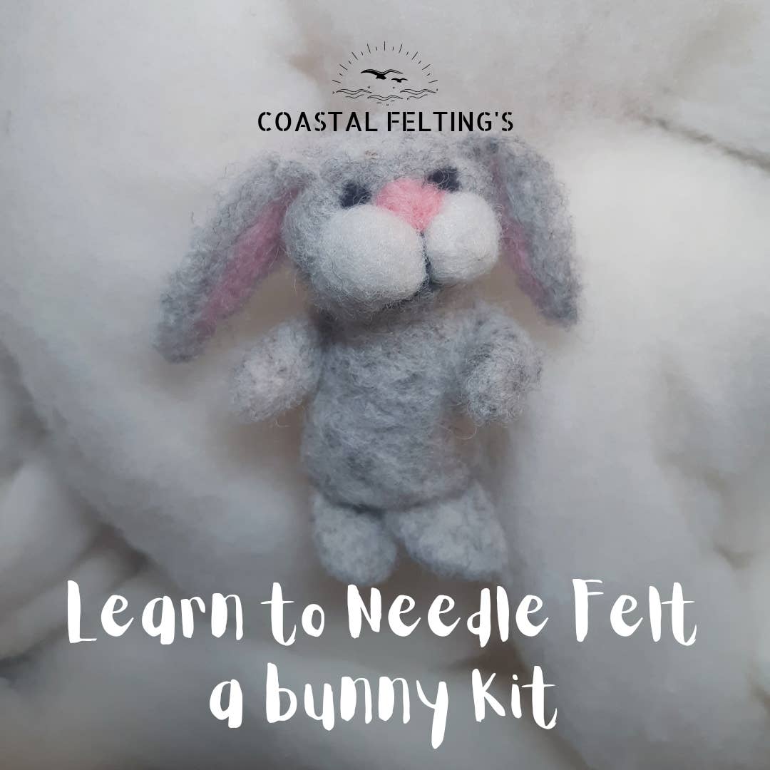 Coastal Felting - Wholesale Doe-het-zelf-knutselset - Leer naaldvilt een Bunny Kit, DIY Craft Kit