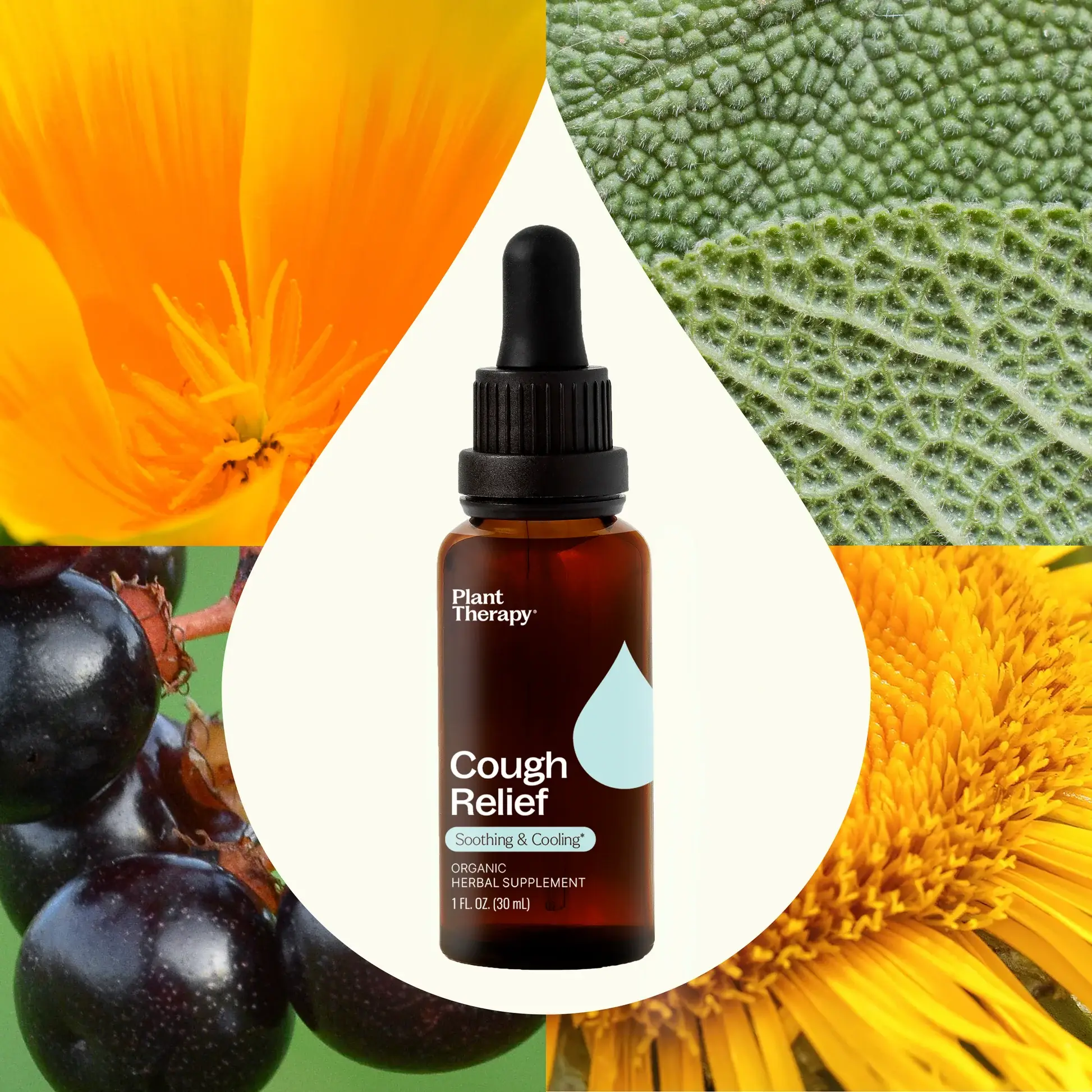 Plant Therapy – wholesale Oralt tillskott/Vitamin – Hostlindrande Ekologiskt Växtbaserat Kosttillskott 30 ml3