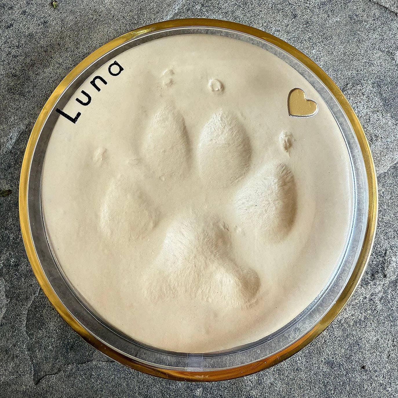 Unbreakable Bond - Wholesale DIY Craft Kit - Unbreakable Bond® Pet Impressions Kit – Large1