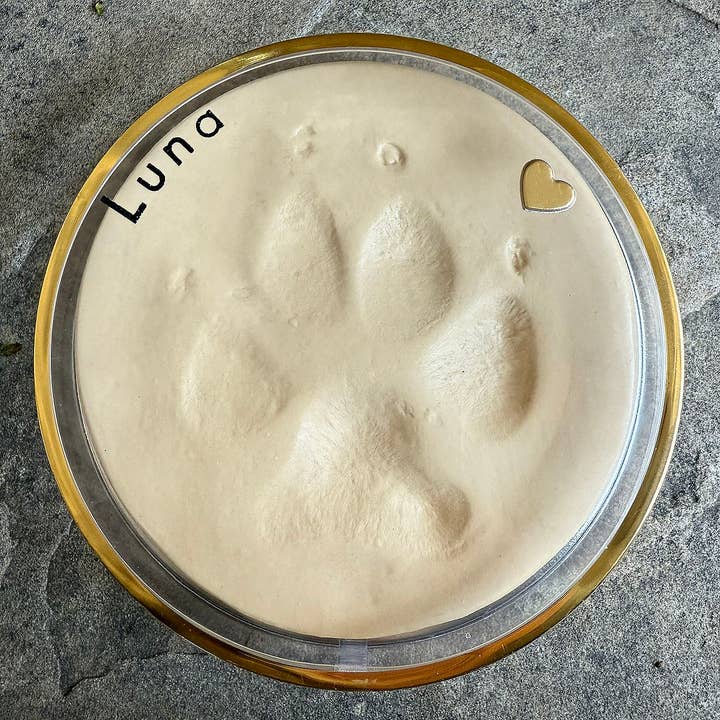 Unbreakable Bond - Wholesale DIY Craft Kit - Unbreakable Bond® Pet Impressions Kit – Large1