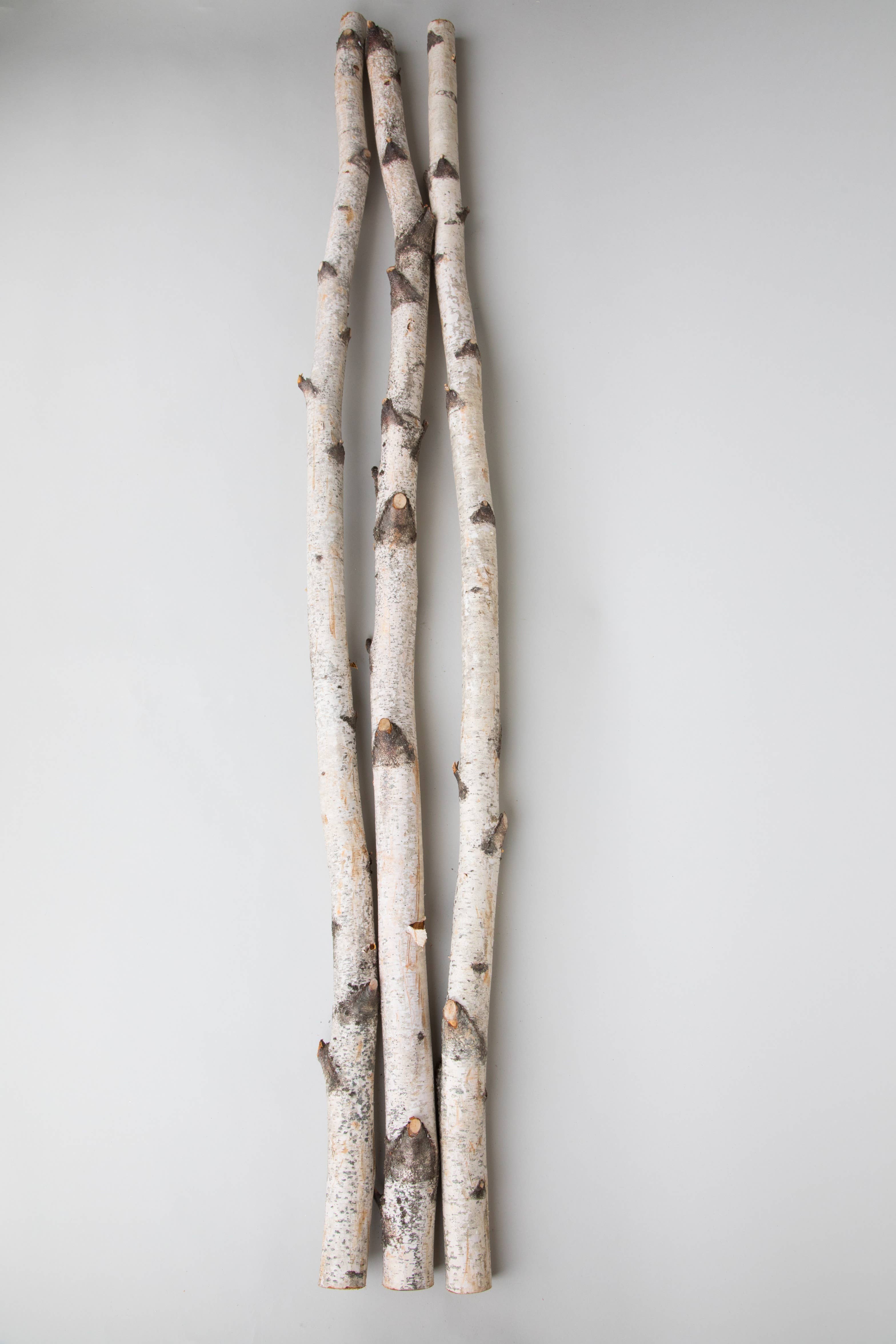 GS Foliage - Vendita all'ingrosso Decorazione natalizia - Pali di Betulla Naturali da 4 Piedi