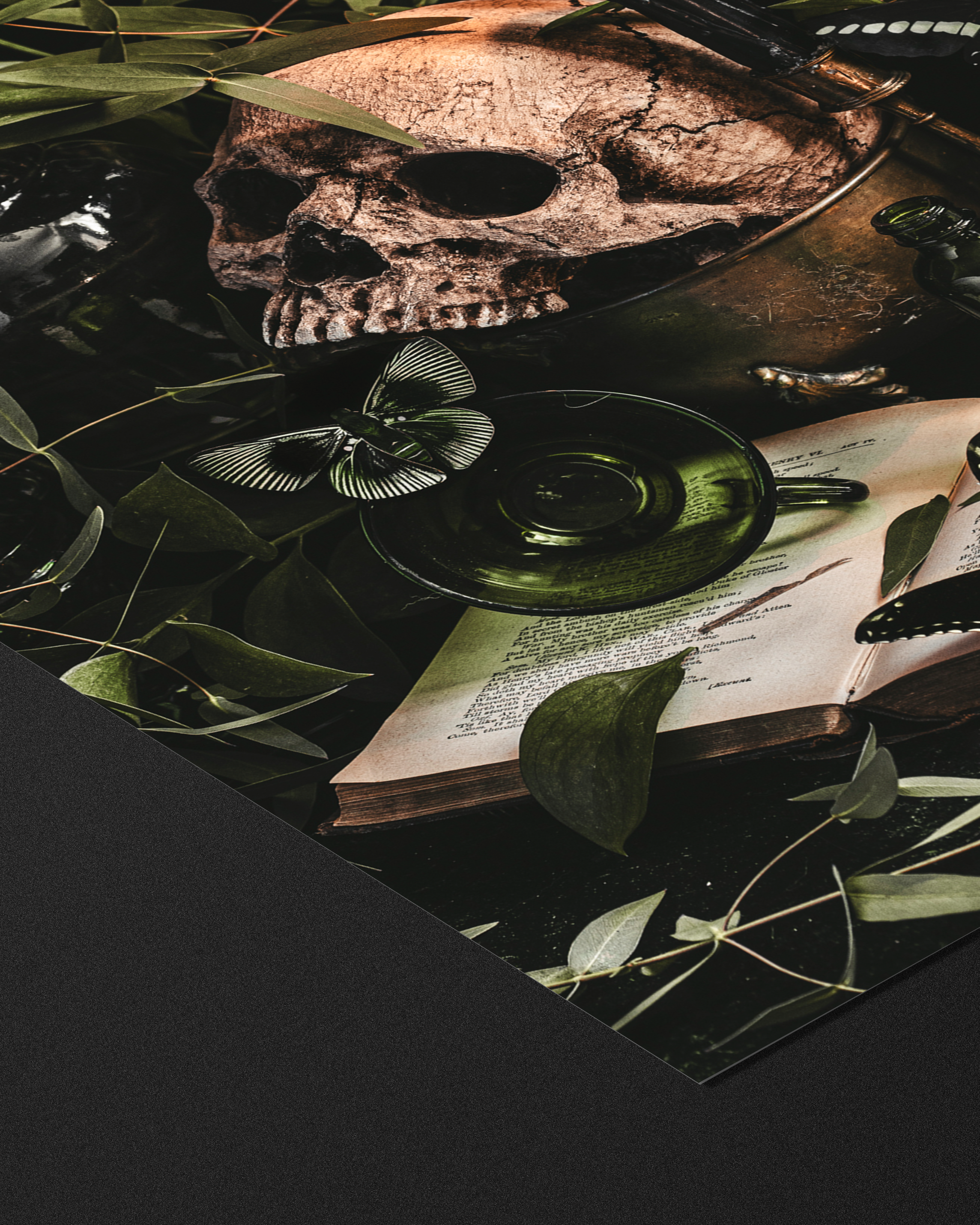 Alyssa Thorne - Wholesale Art Print - Poison Study | Art Print | Green Witch Still Life1