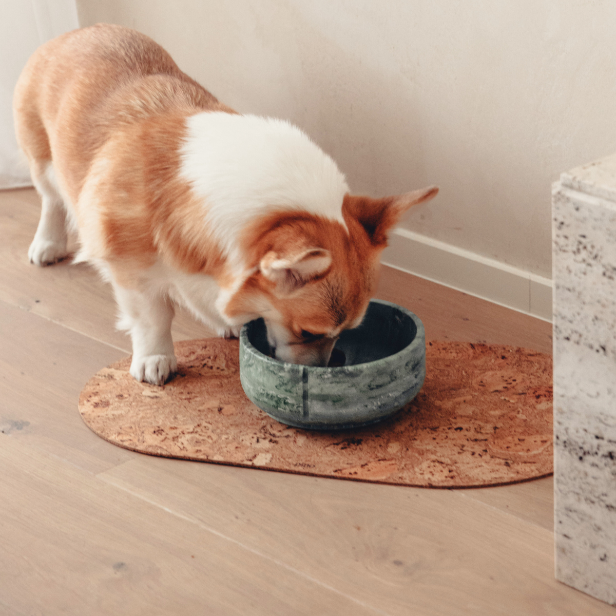 PINO – wholesale Pet bowl – Dog – Classic Feeder Bowls - 2024 Collection14