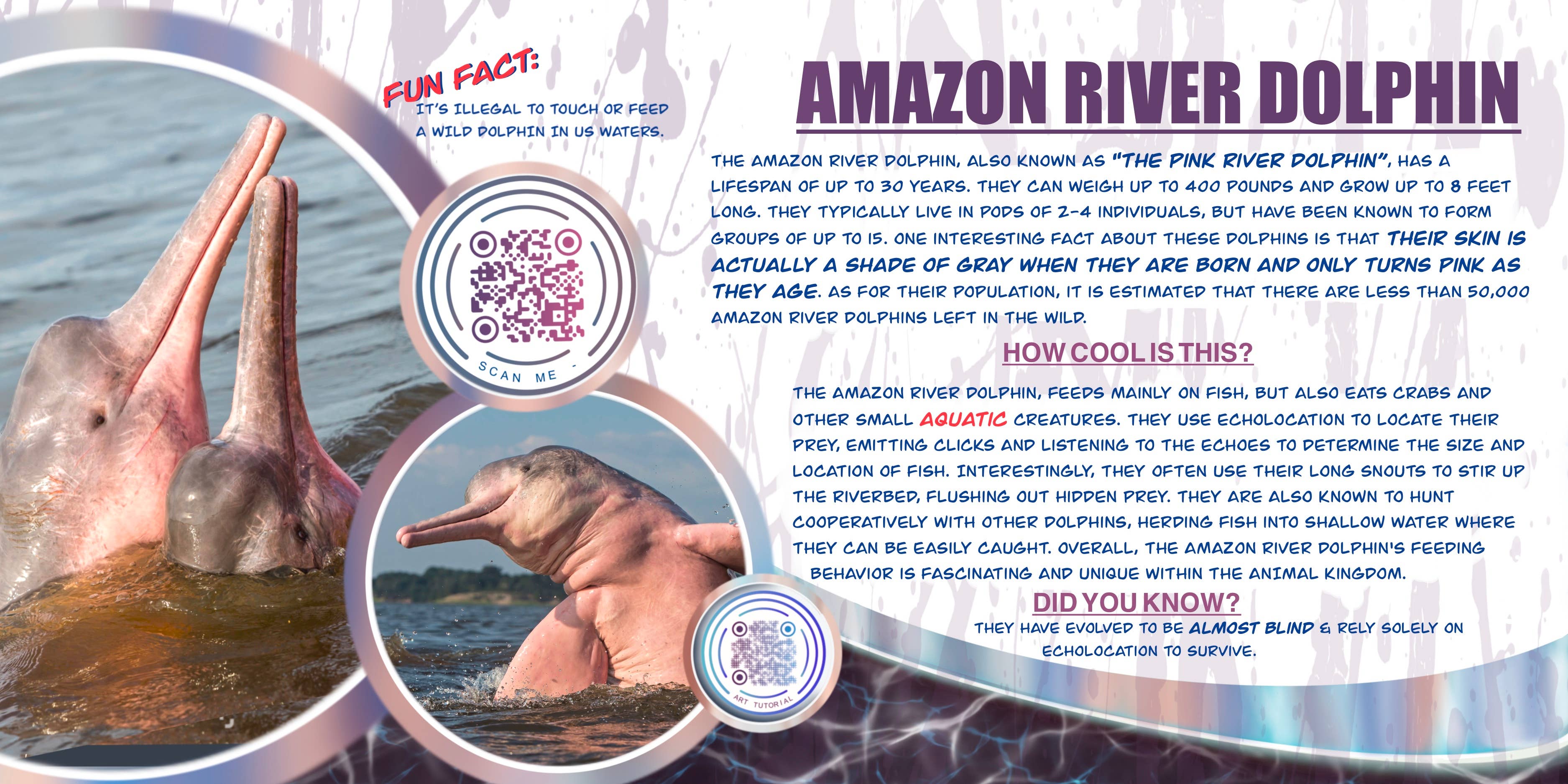 Love Kathleen Productions – Engroshandel Malebog - Børn og baby – Coloring Passport Dolphin Edition 1 Alder 5-12512