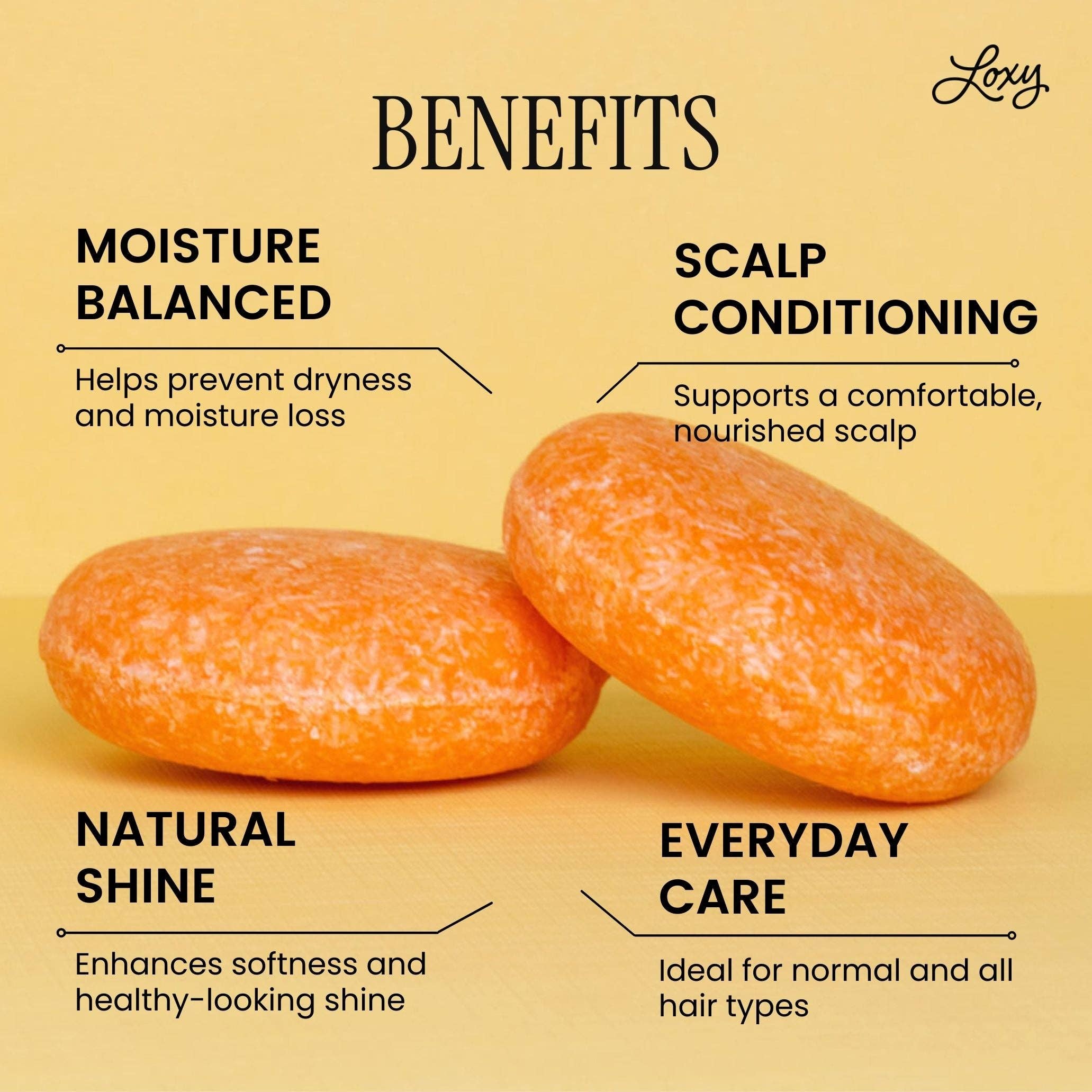 Loxy - Wholesale Shampoo Puck/Solid Shampoo - MAINTAIN: Shampoo Bar for growth & shine1