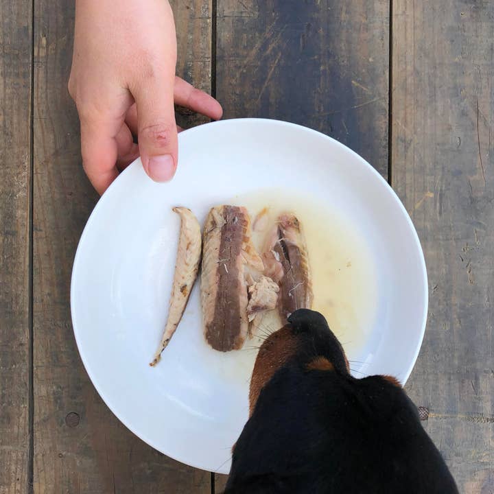 Canumi - Vendita all'ingrosso Cibo - Cani - Filetti di sgombro selvatico della costa atlantica