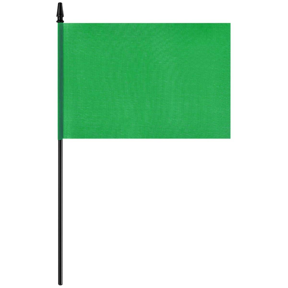 Party Expo, LLC - Wholesale Flag - Green Flag0